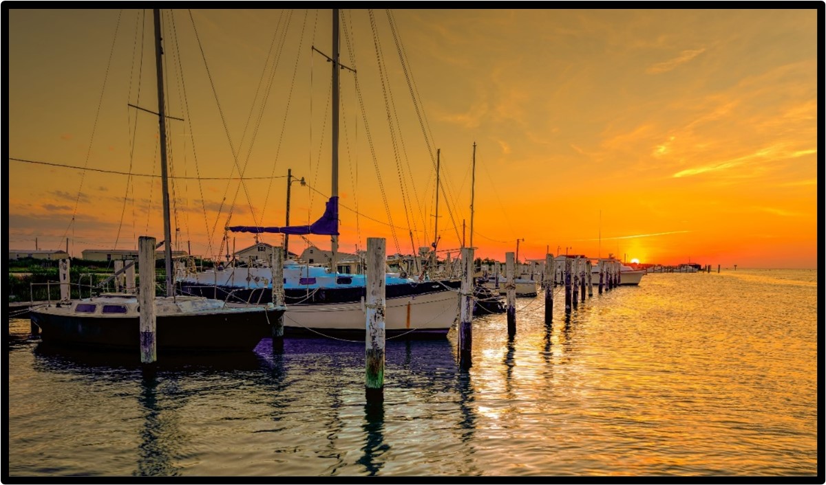 Marina at sunset