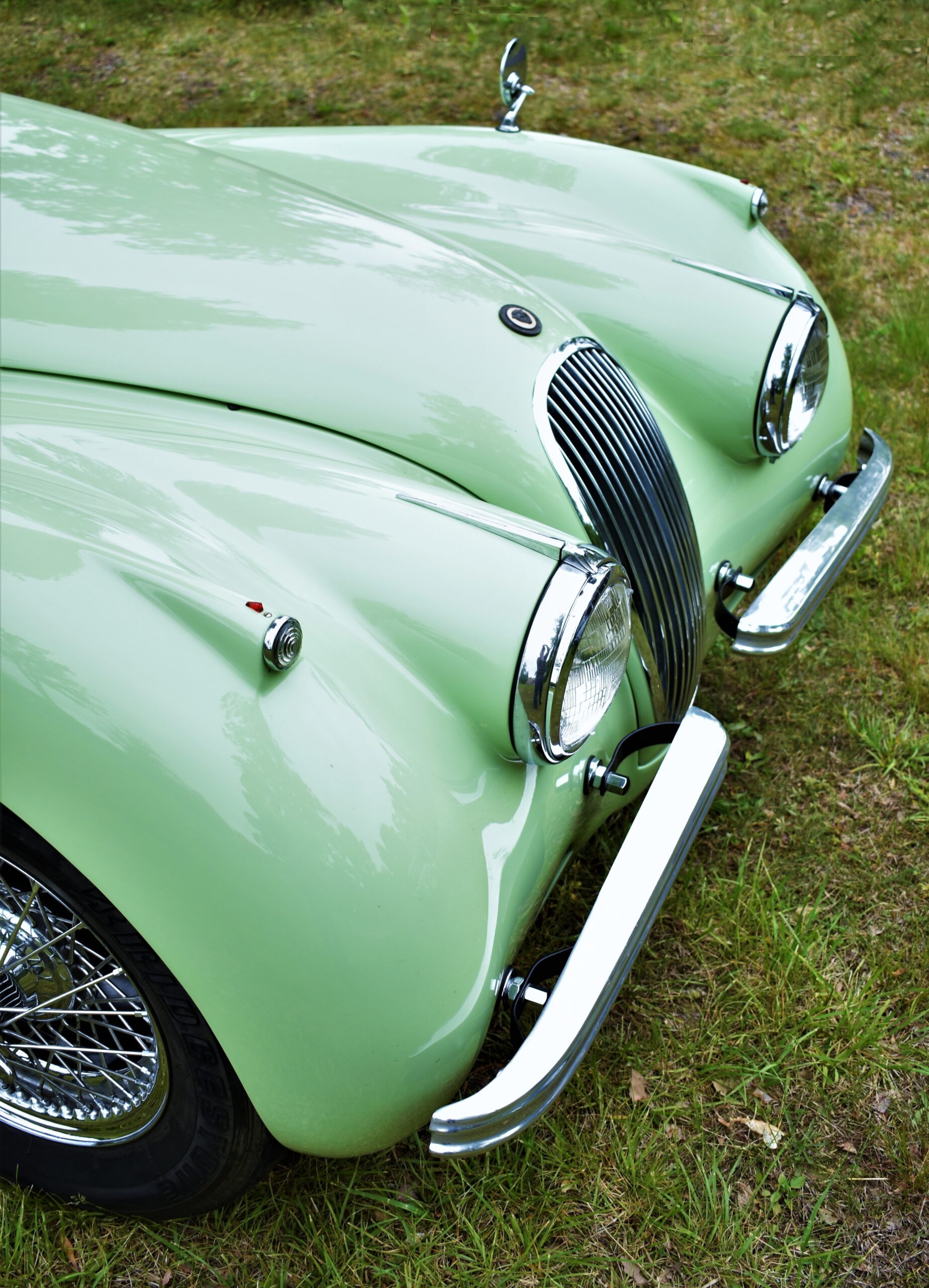 A Century of Beautiful Automobiles