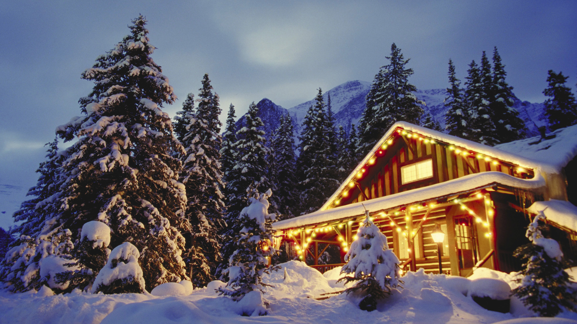 2024 DVJC Holiday Party