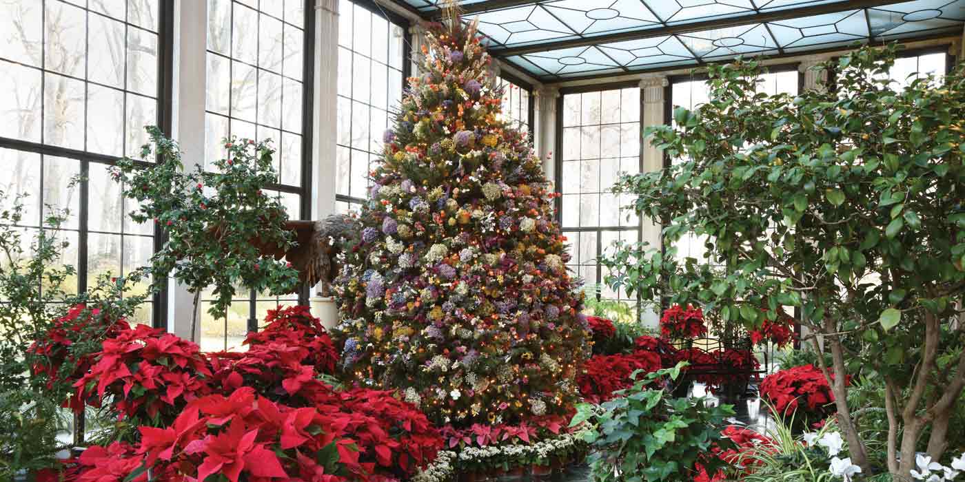 Winterthur Christmas Tour and Dinner
