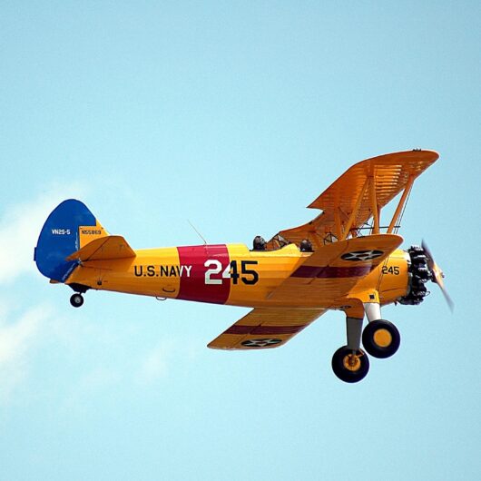New Garden Air Show